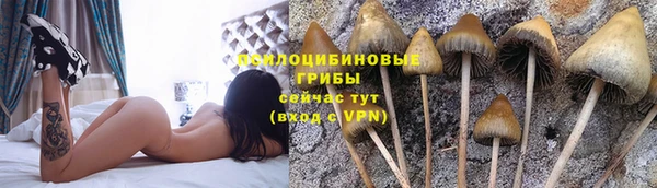 спиды Абдулино