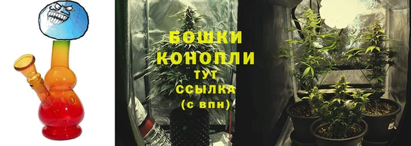 ГАЛЛЮЦИНОГЕННЫЕ ГРИБЫ Алексеевка