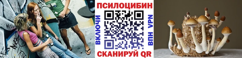 мориарти Telegram  Кораблино  Псилоцибиновые грибы Magic Shrooms 